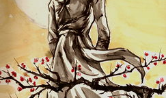 一枝梅漫画,江湖传奇，侠骨柔情