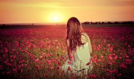 爱情带字短视频,短视频捕捉心动瞬间